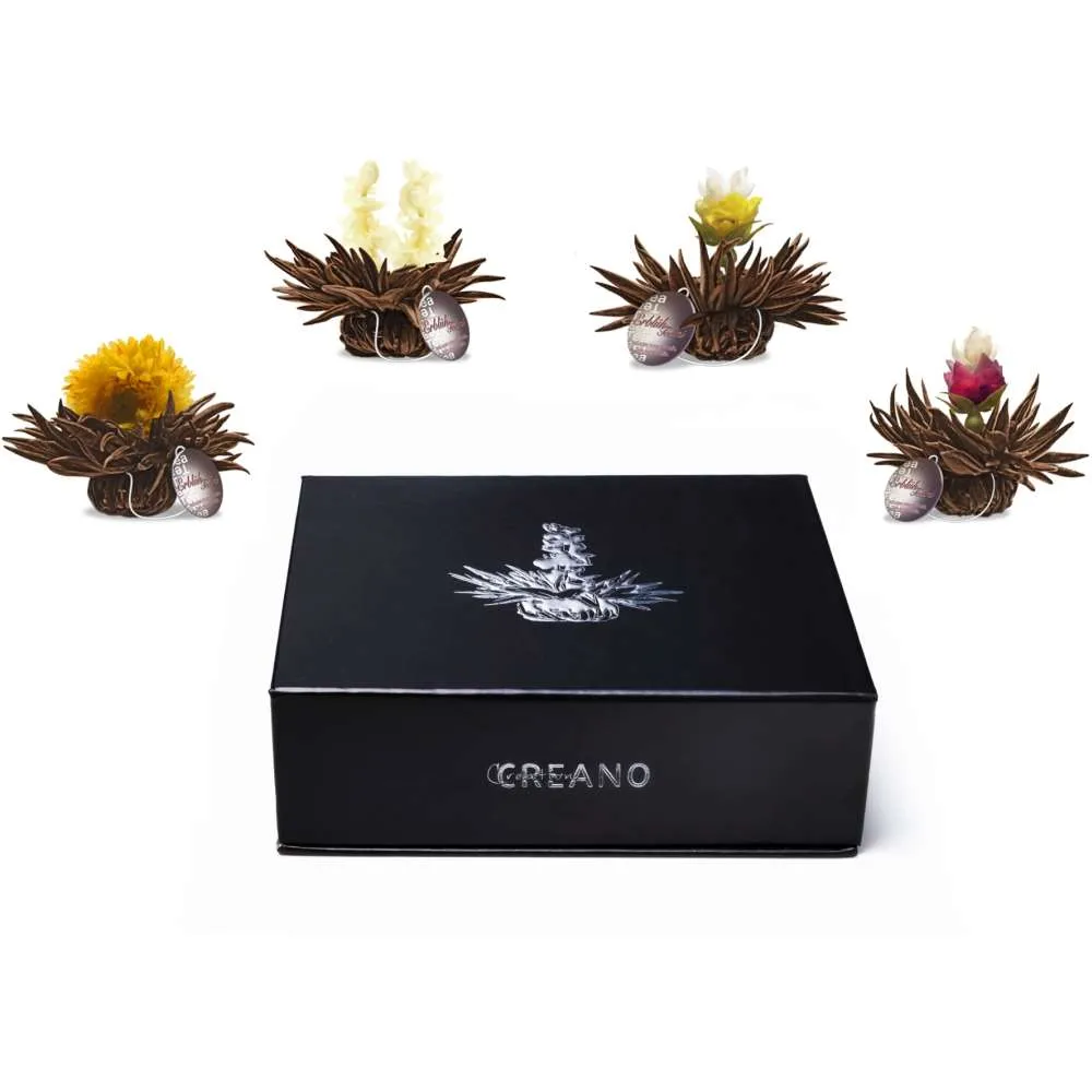Creano 6er Teelini Schwarztee Magnetbox