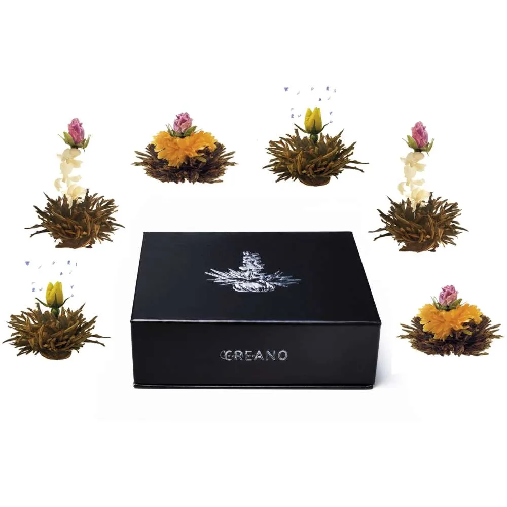 Creano Magnetbox 6er ErblühTee Schwarztee