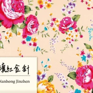 Dianhong Jinzhen Youji