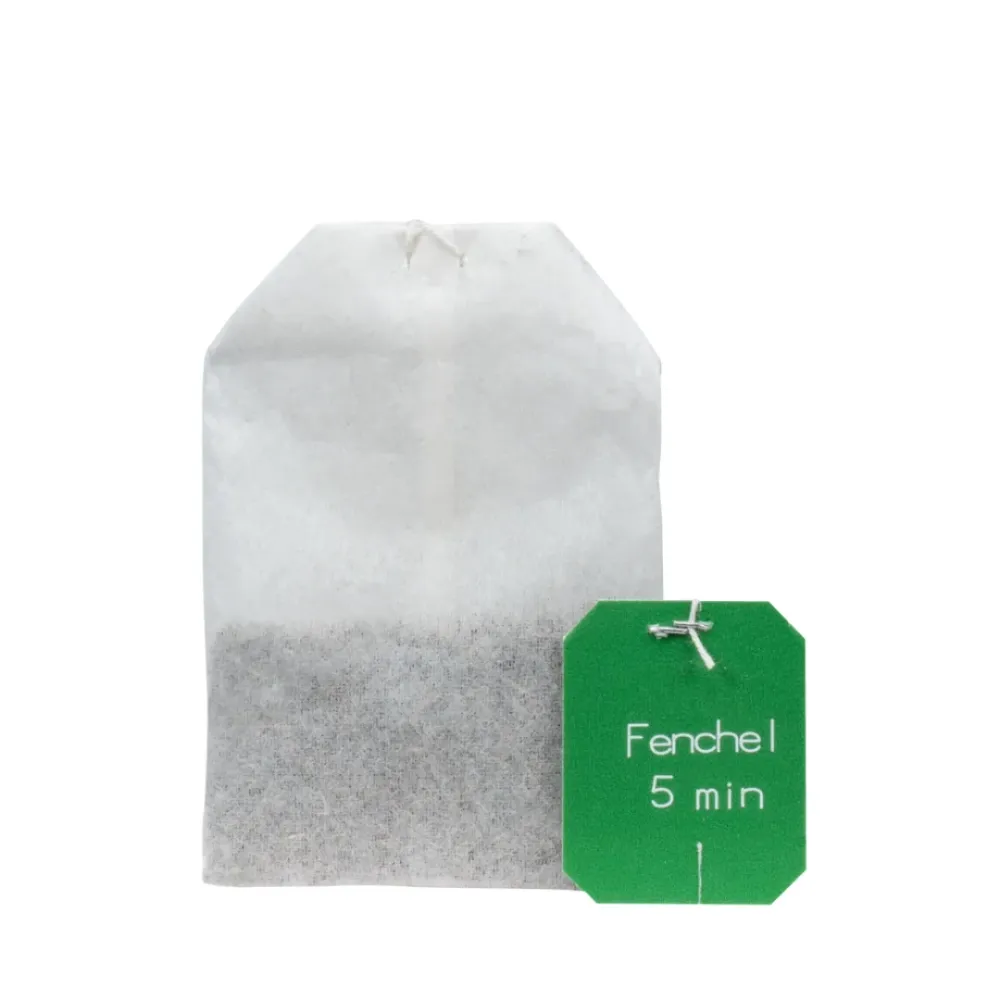 Fencheltee Bio 15 Filterbeutel, 34,5g Salus