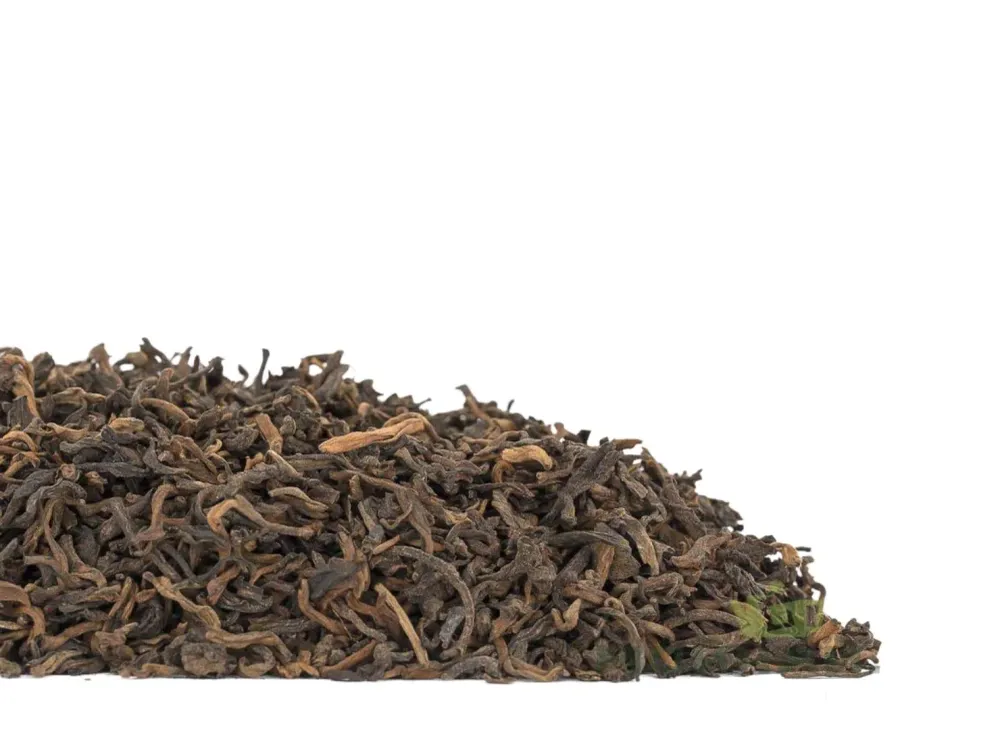 Gongfu Gong ting (2019)