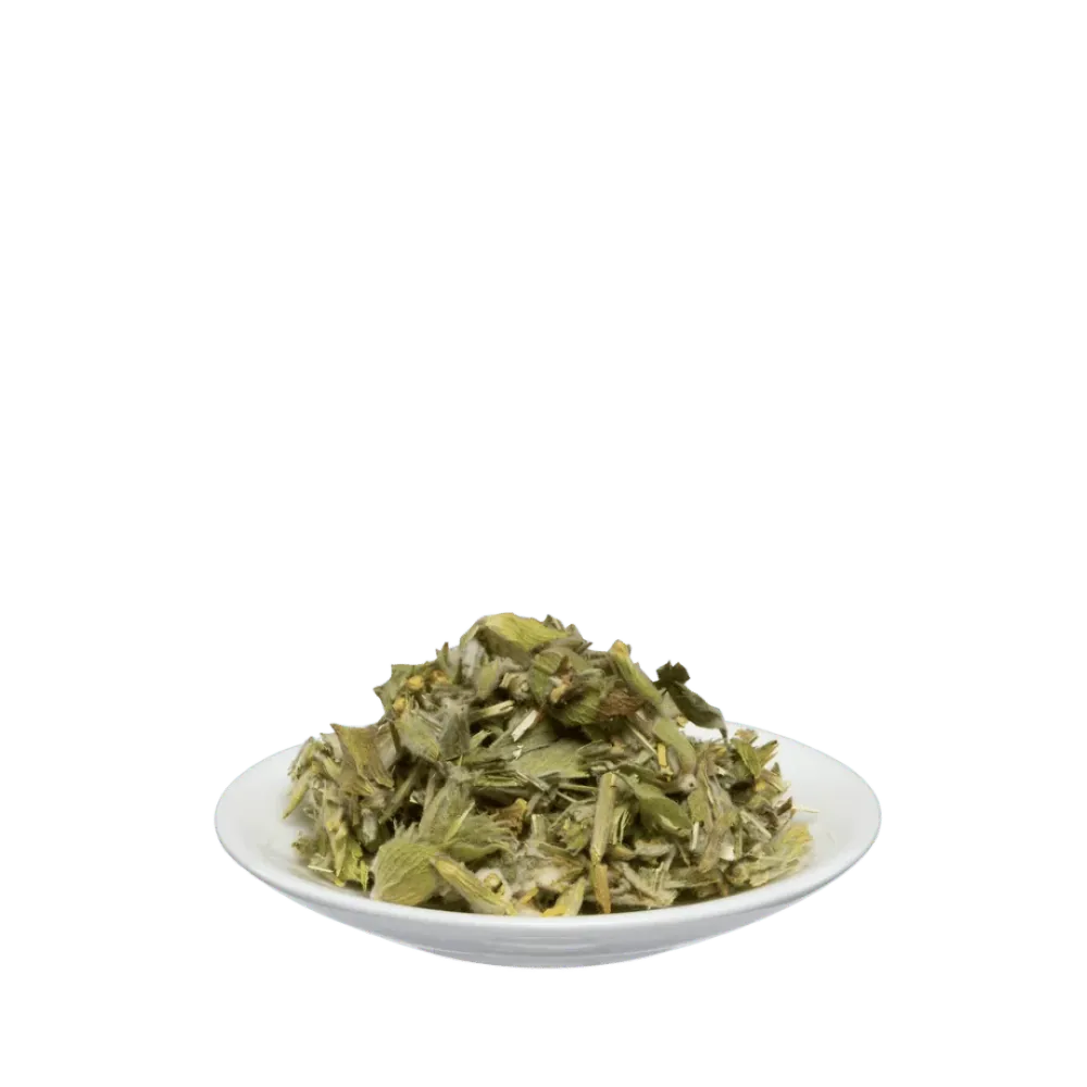 Griechischer Bergtee Bio lose Kräutertee 40g Salus