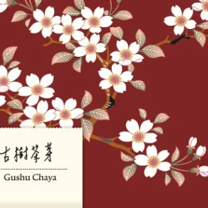 Gushu Chaya