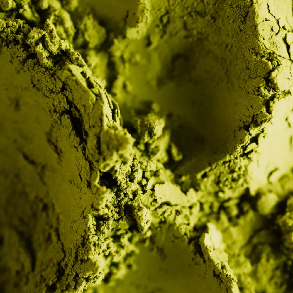 Matcha Tee aus Uji ⋅ Yamamasa Koyamaen für iRASSHAi ⋅ 30g