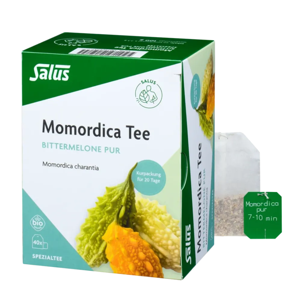 Momordica pur Tee bio 40 Filterbeutel Salus