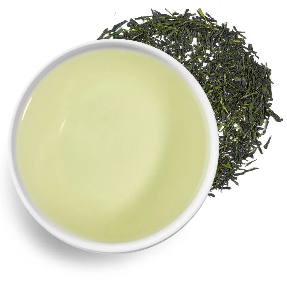 Morimoto Shincha 2025