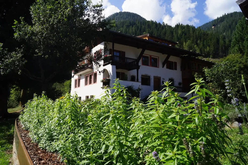 Teemischung Nachttraum Bio