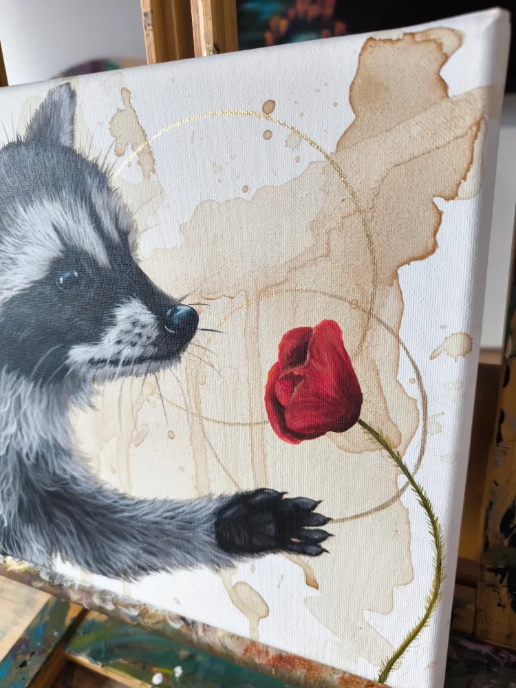 Verträumte Waschbär