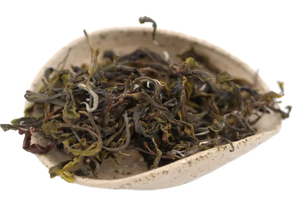 Vietnam Sheng Cha Gushu (Frühjahr 2023) 25g