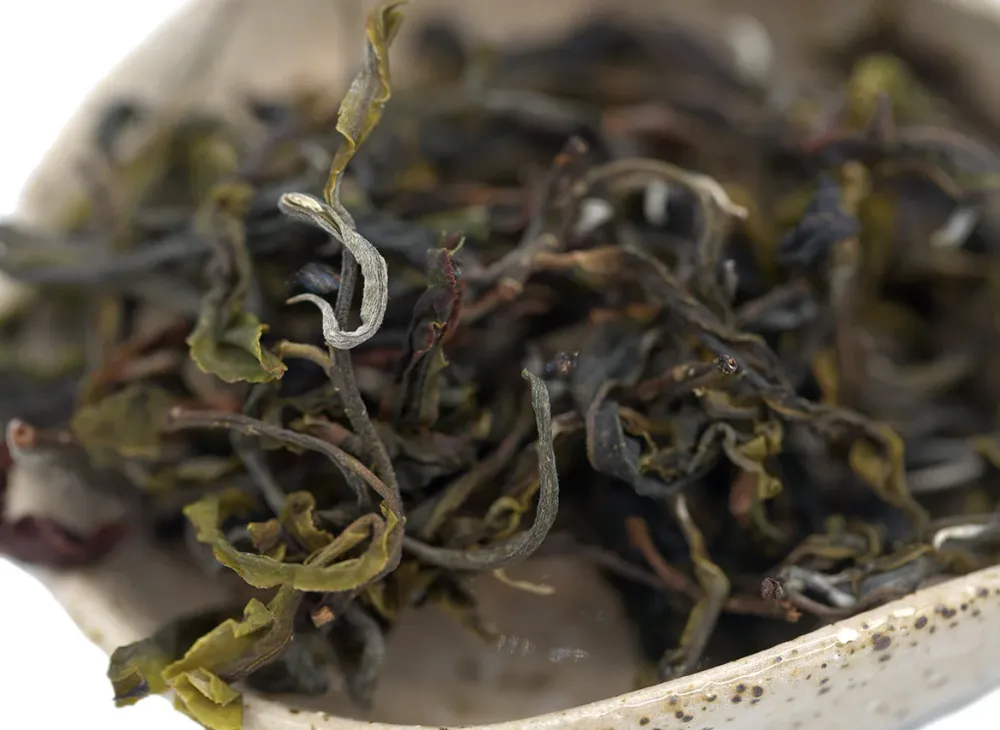 Vietnam Sheng Cha Gushu (Frühjahr 2023) 25g