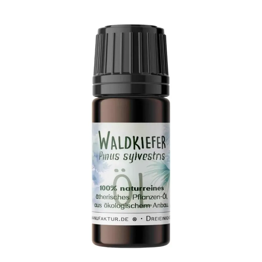 Waldkiefer