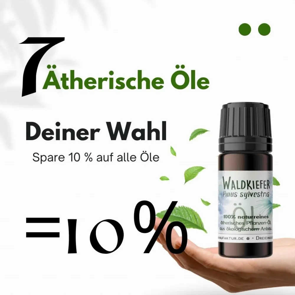 Waldkiefer