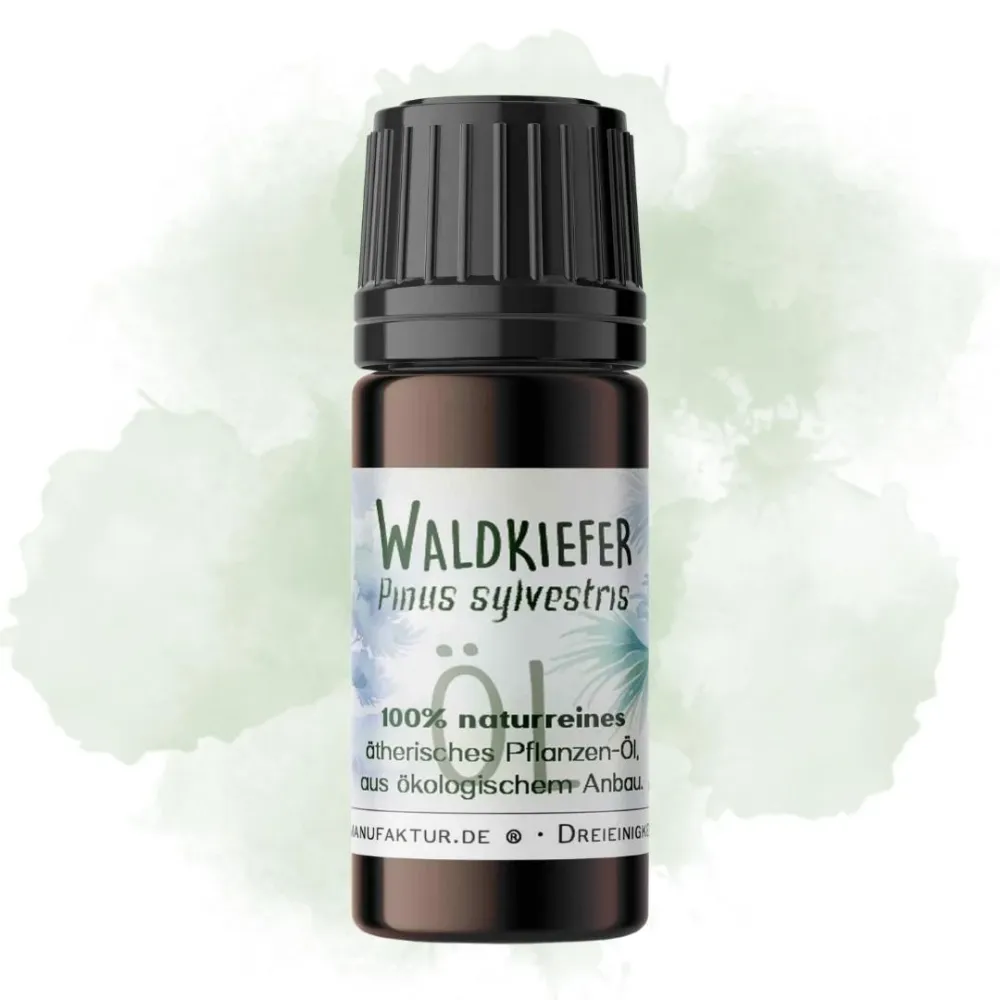 Waldkiefer