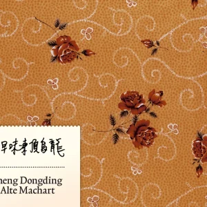 Zheng Dongding Alte Machart