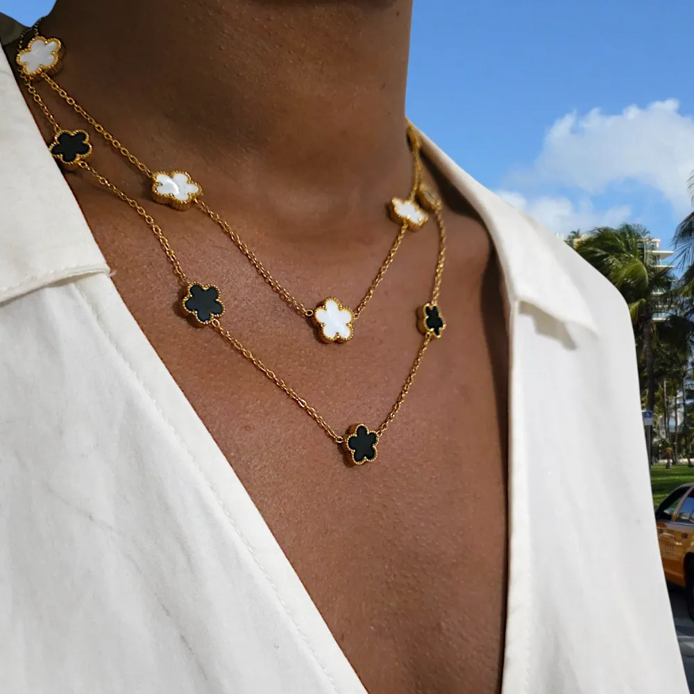 COLLIER ASHLEY WHITE