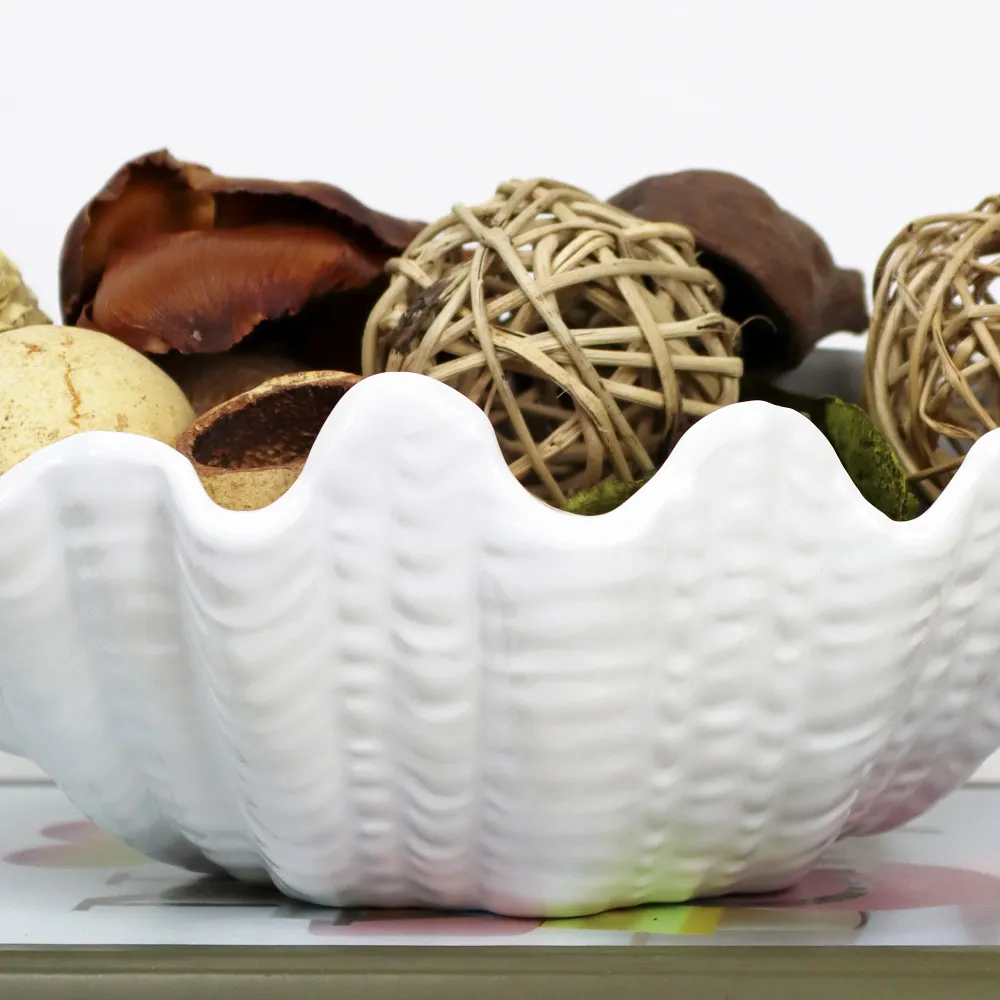 White Clam Shell Dish Darthome Limited