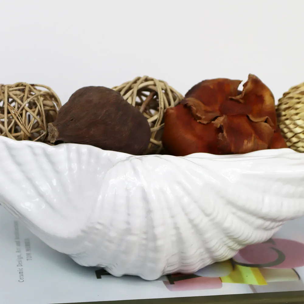 White Clam Shell Dish Darthome Limited