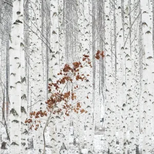 From White