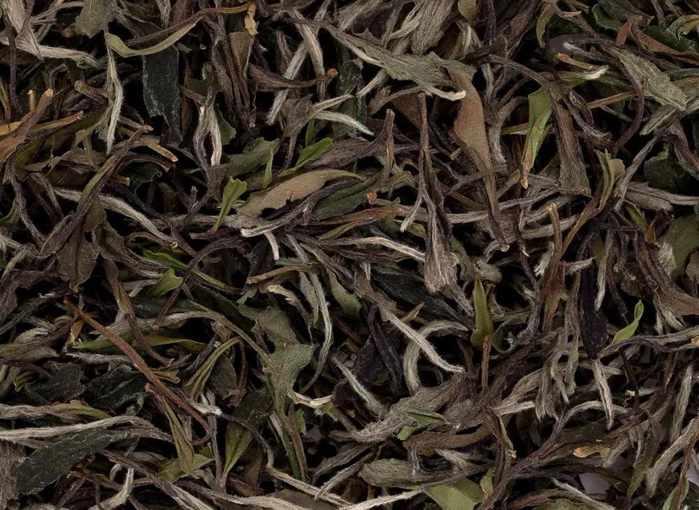 Huan E Bai Cha