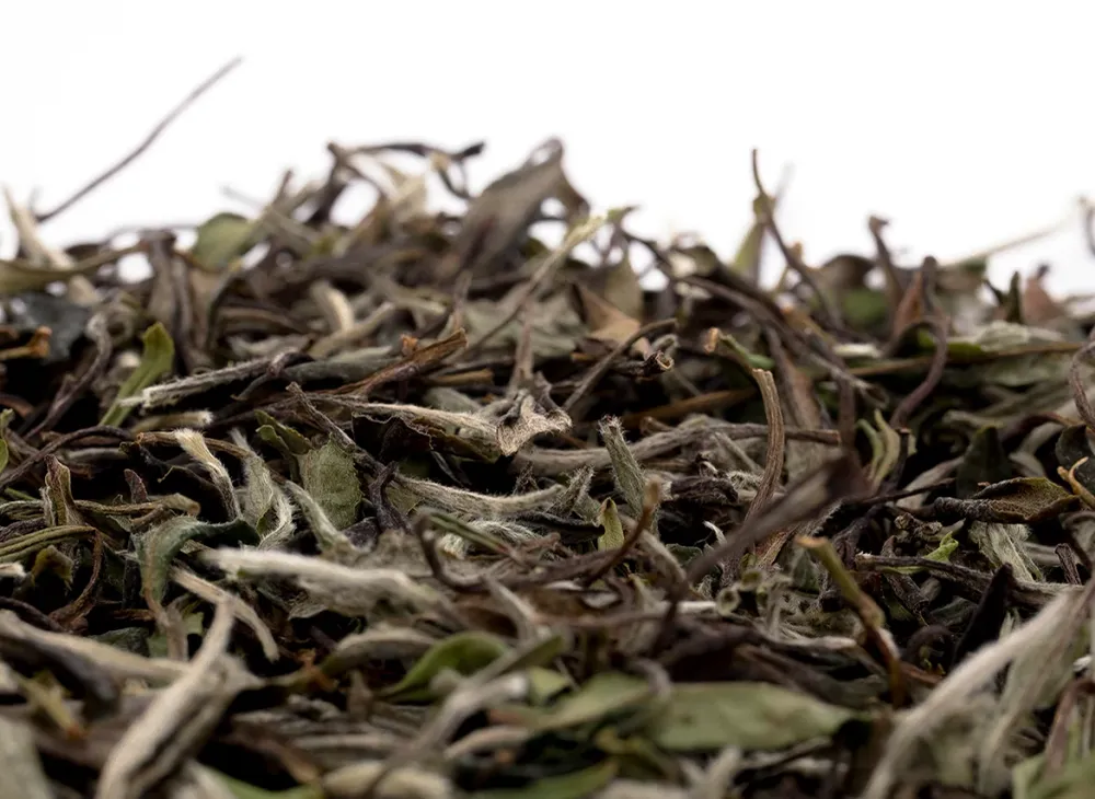 Huan E Bai Cha