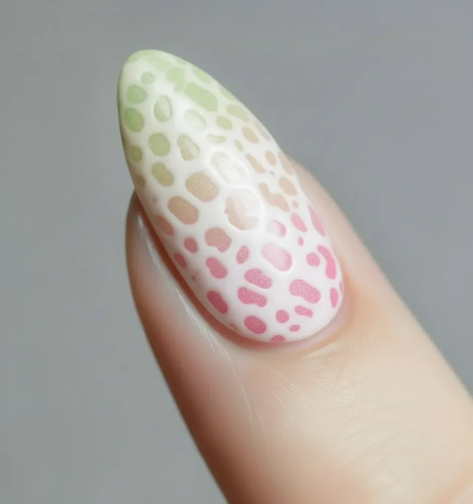 Slimak Gel White 5ml