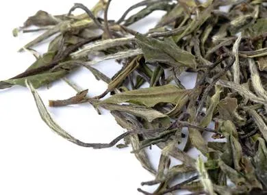Zhenghe Bai Mu Dan