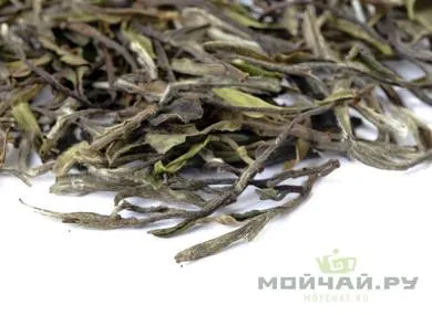 Zhenghe Bai Mu Dan