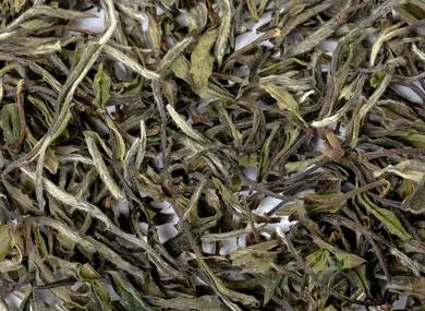 Zhenghe Bai Mu Dan