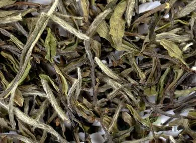 Zhenghe Bai Mu Dan