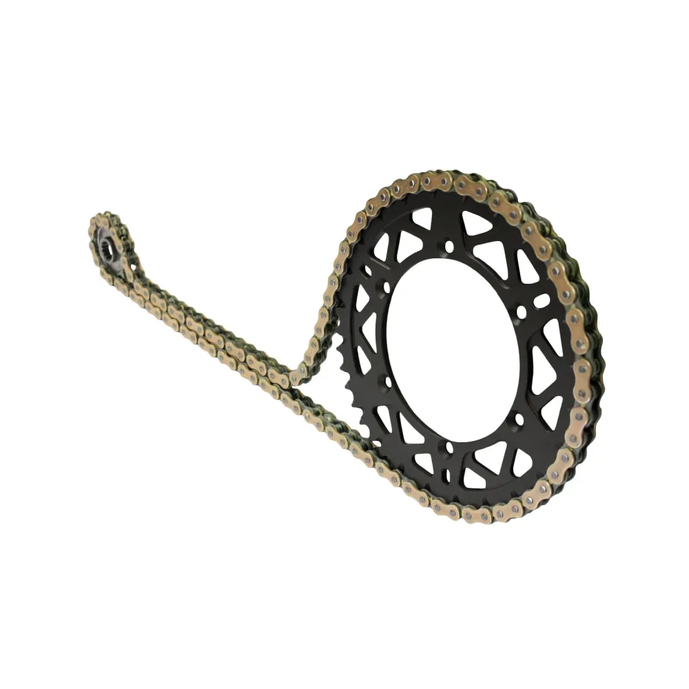 AFAM Kettensatz 520, golden, 3498kg, Stahl light, selfclean, GAS-GAS MC 125 2021-2021