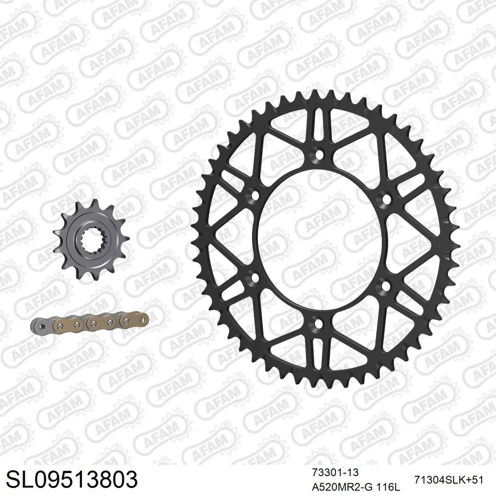 AFAM Kettensatz 520, golden, 3498kg, Stahl light, selfclean, GAS-GAS MC 125 2021-2021