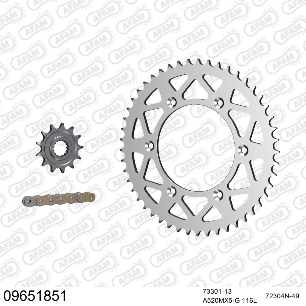 AFAM Kettensatz 520, golden, 3814kg, Alu, GAS-GAS MC-F 450 2021-2021