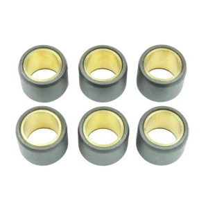ATHENA Satz Variomatrollen 23x18mm 14gr - 6 teilig