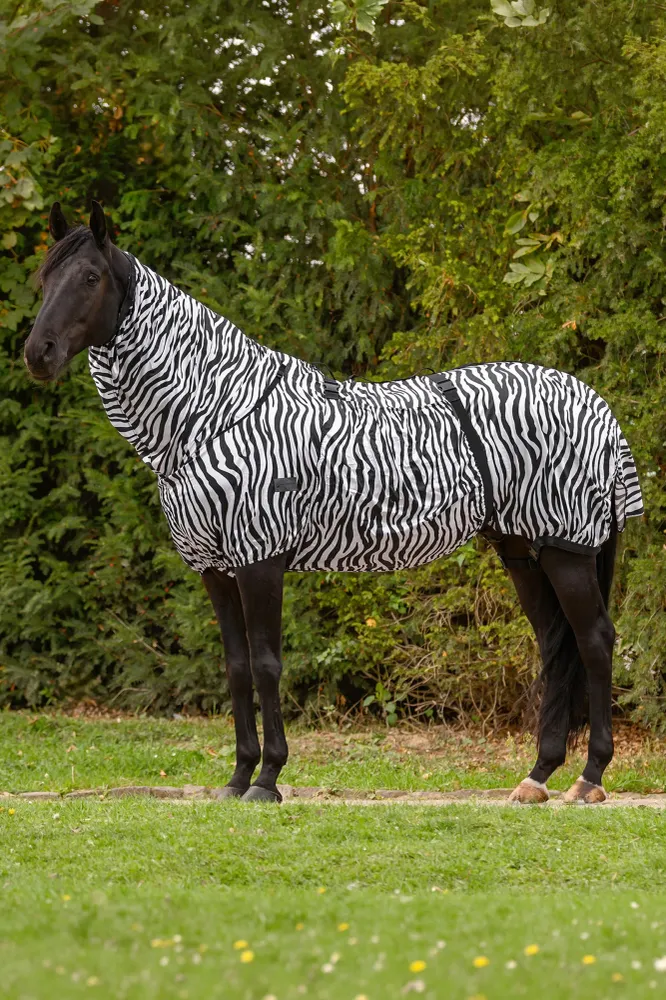 Basic Zebra Ekzemerdecke mit UV-Schutz Black/ White 155