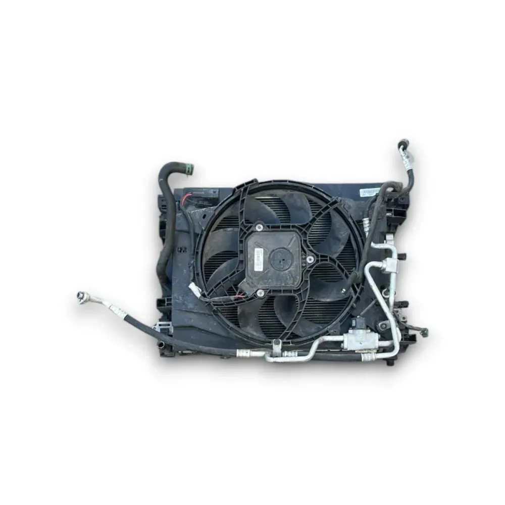 Elektrolüfter + Heizkörper Renault Zoe Nr. 214819480R elektrisch (2013 > 2019) Nr. 921007736R Nr. 214104950R