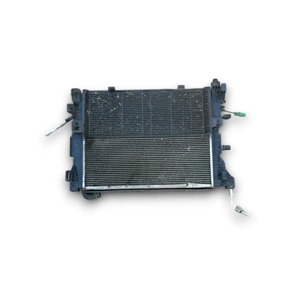 Elektrolüfter + Heizkörper Renault Zoe Nr. 214819480R elektrisch (2013 > 2019) Nr. 921007736R Nr. 214104950R