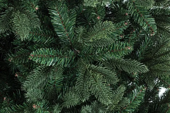 Frejus fr H210-2299 Ran Tree