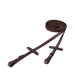 Gurtzügel Brown/Gold WB