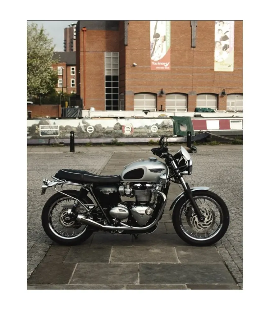 Kettenschutz für Triumph – Glänzendes Silber