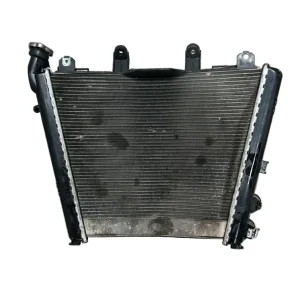 Kühlmittelradiator BMW S1000R (2021 > 2024)