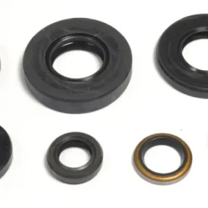 Motordichtsatz Athena