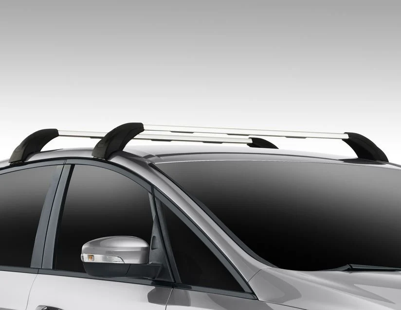 Original Ford S-MAX 2015-2023 Dachgrundträger & Thule Dach-Fahrradträger 532