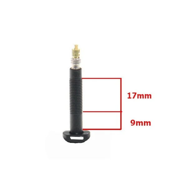 Paar Carbon Tubeless Presta-Ventile – 35 mm