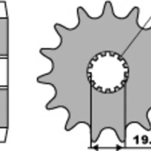 PBR Standard Stahlriztel vorne 439 - 530
