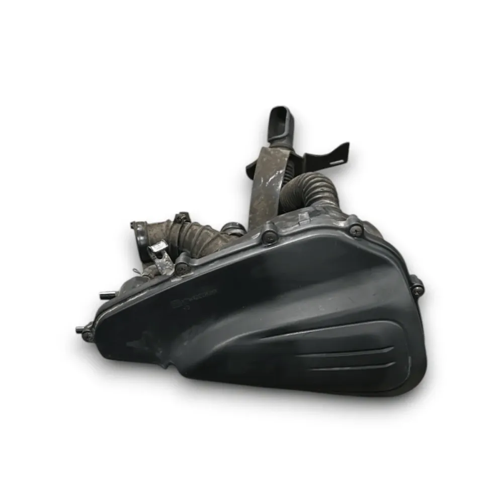 Peugeot Tweet 125 Air Filter Fall (2010> 2014)