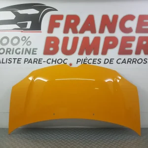 MOTORHAUBE RENAULT TWINGO 3 NEU GELB MANGO