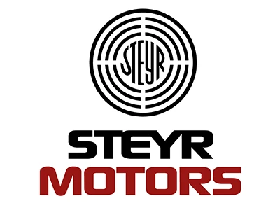 Steyr Dichtung Turbolader