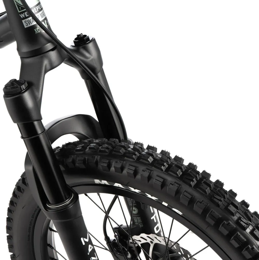 Wethepeople Swampmaster BMX Bike 21