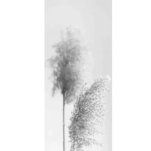 Flächenvorhang Vision S Irlos grau BxH 60x260cm