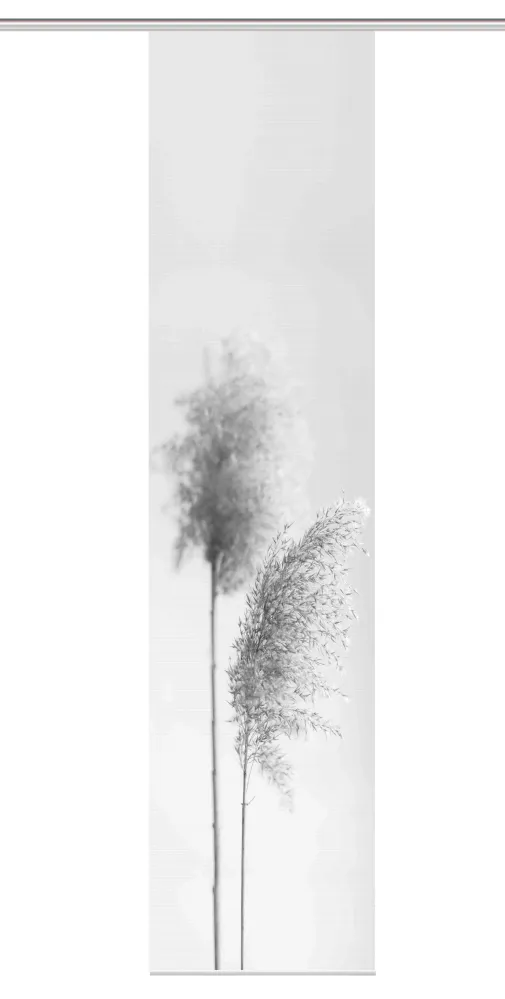 Flächenvorhang Vision S Irlos grau BxH 60x260cm